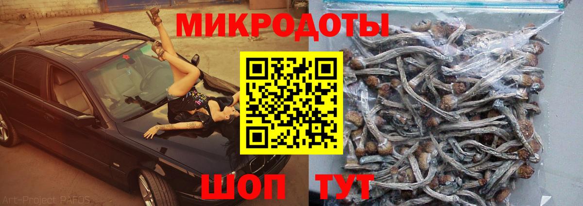 Псилоцибиновые грибы GOLDEN TEACHER Волгодонск