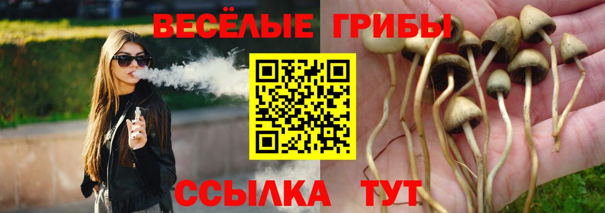 закладка  Псилоцибиновые грибы ЛСД  Вход с VPN  Волгодонск 